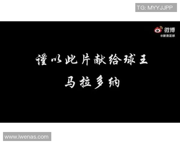 绿茵传奇巨星传记揭示足球英雄不为人知的奋斗与荣耀